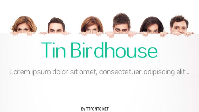 Tin Birdhouse example